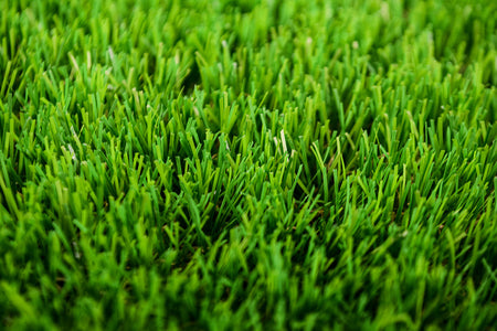 Free UK Artificial Grass Samples | Grass Warehouse